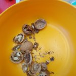 phoca_thumb_m_zvyky a krmelec 20 Fotogalerie